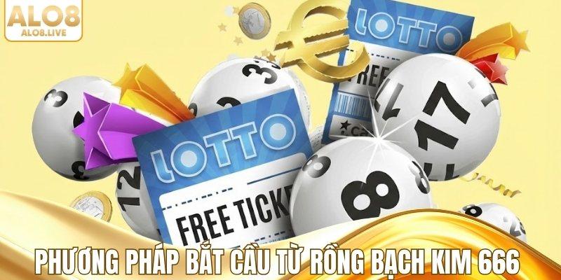 Phương pháp bắt cầu từ rồng bạch kim 666