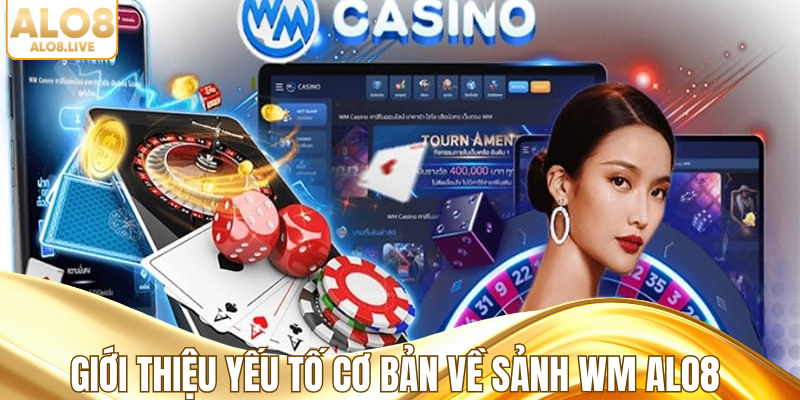 Giới thiệu yếu tố cơ bản về sảnh WM ALO8