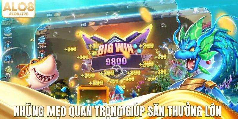 Những mẹo quan trọng giúp săn thưởng lớn
