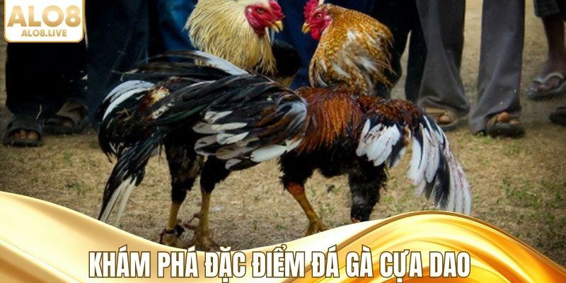 Khám phá đặc điểm đá gà cựa dao
