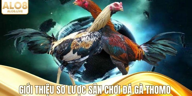 Giới thiệu sơ lược sân chơi đá gà Thomo