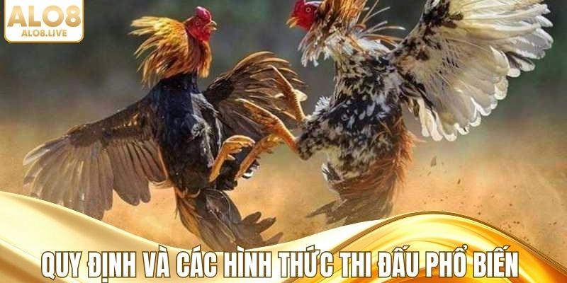 Nắm vững quy định và các hình thức thi đấu phổ biến