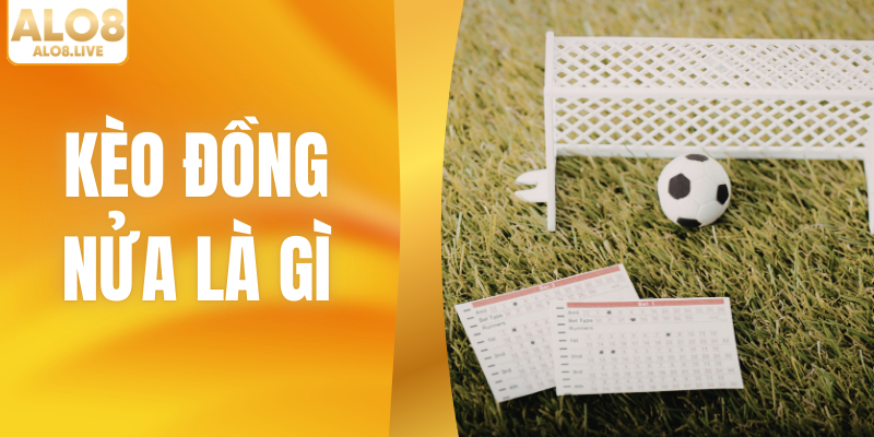Kèo Đồng Nửa Là Gì? Bí Quyết Chơi Kèo 1/4 Thắng Lớn Ở ALO8
