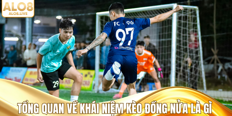 Tổng quan về khái niệm kèo đồng nửa là gì